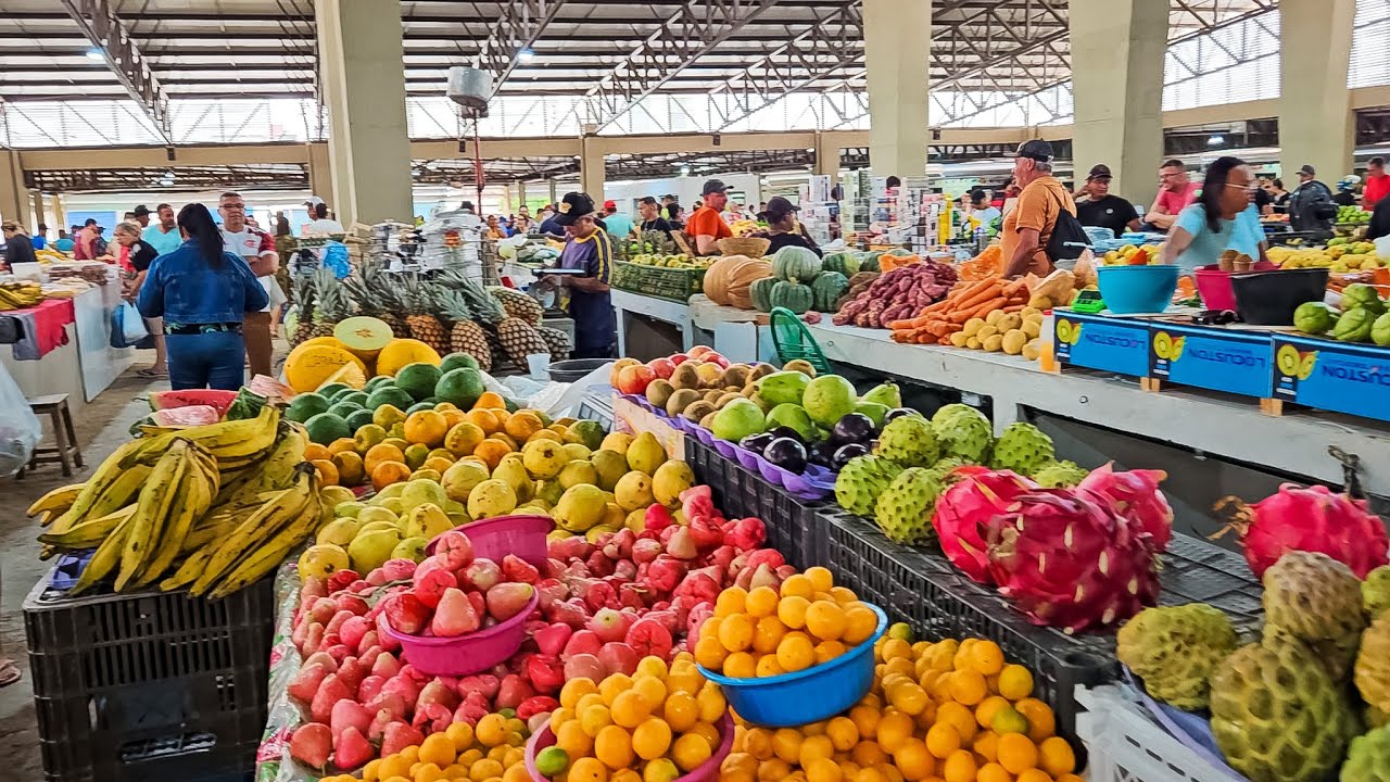 DOMINGO DE FEIRA LIVRE EM SANTA CRUZ DO CAPIBARIBE É ASSIM!