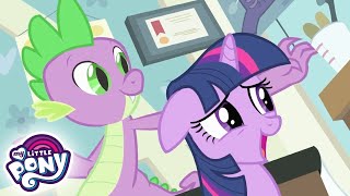 My Little Pony Deutsch 🦄 Spike wird raffgierig | Freundschaft ist Magie | Ganze Folge