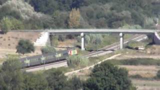 P9050070