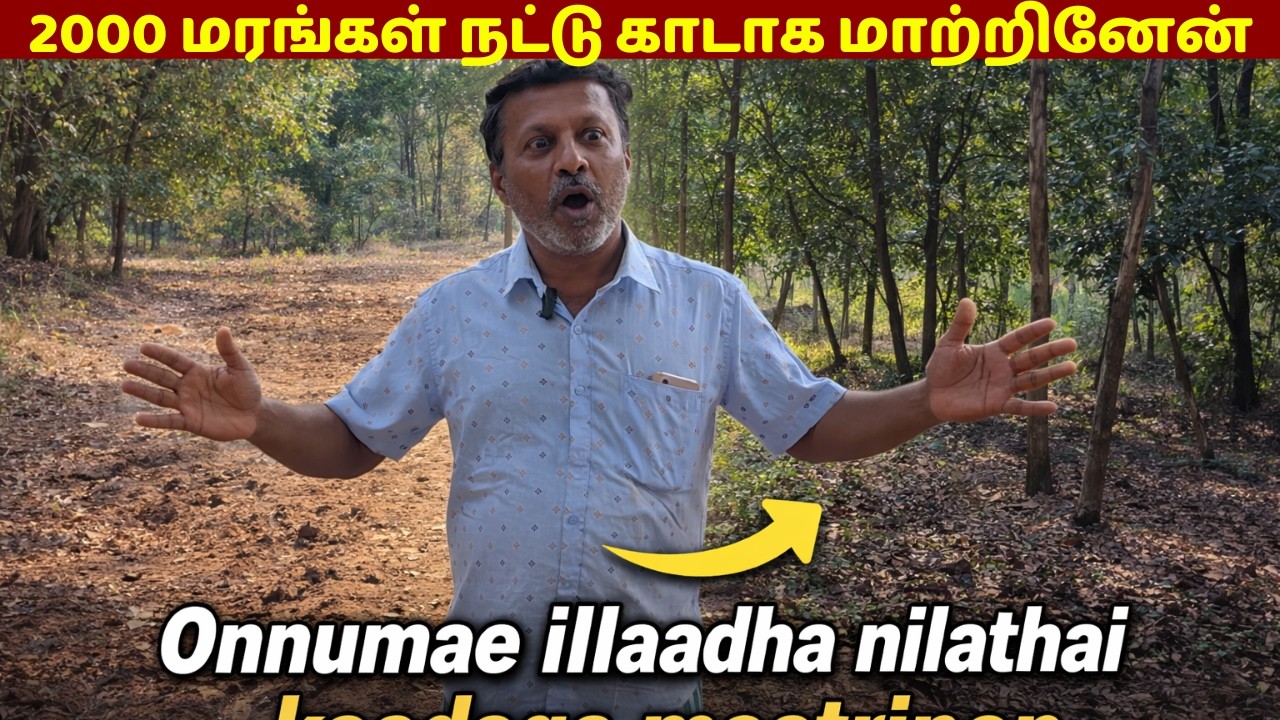 ஒண்ணுமே இல்லாத நிலத்தை காடாக மாற்றினேன் /I planted 2000 trees and turned it into a forest.”