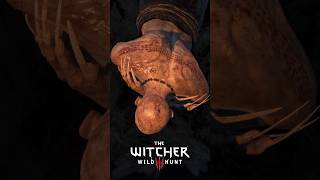 Unseen Elder Vampire Attacks Geralt 4K | The Witcher 3 Wild Hunt | #thewitcher3 #shorts Unseen Elder Vampire Attacks Geralt 4K | The Witcher 3 Wild Hunt | #thewitcher3 #shorts
