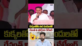కుక్కలతోని,ఊర పందులతో రేవంత్ ని పోల్చేసిన కేటీఆర్ | KTR Funny Satires On Revanth Reddy | Funny Short