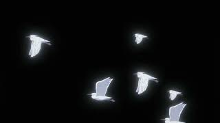 gabriel jacoby - lets talk about it (slowed + reverb)