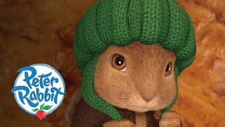 Peter Rabbit - The Angry Shrew | Cartoons for Kids
