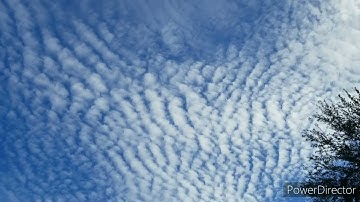 Altocumulus undulatus Cloud Time Lapse.