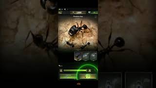 The Ants : Underground Kingdom Part-1  Android,ios Gameplay #shorts(1) #theantsundergroundkingdom screenshot 5