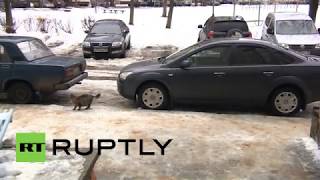 Russia: Meet the hero cat who SAVED an abandoned baby