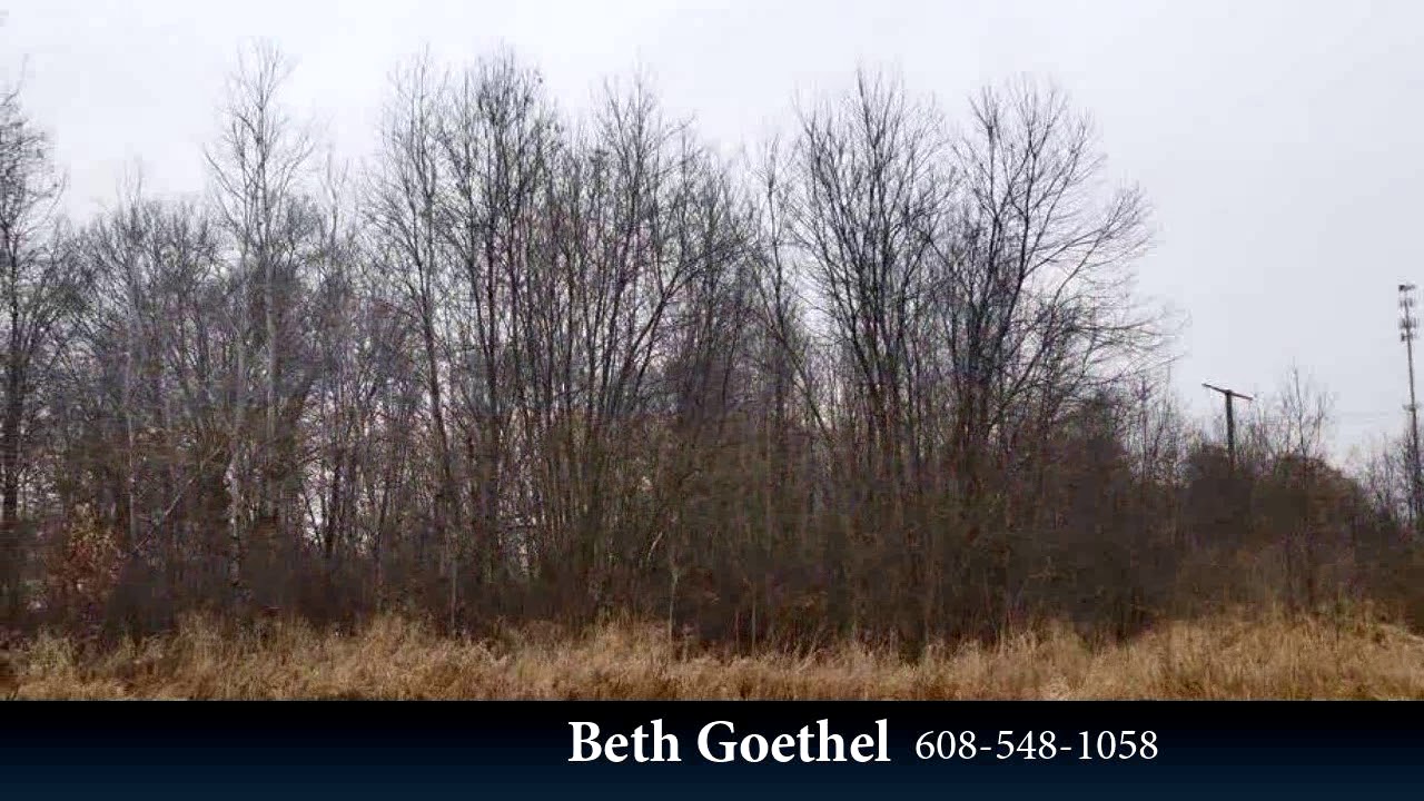 10.06 Ac Hwy 80, New Lisbon, WI 53950