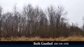 10.06 Ac Hwy 80, New Lisbon, WI 53950