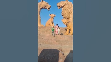 શિકારી તો હમ ભી હૈ જનાબ કુત્તો કા શિકાર નહી કરતે  🦁🦁