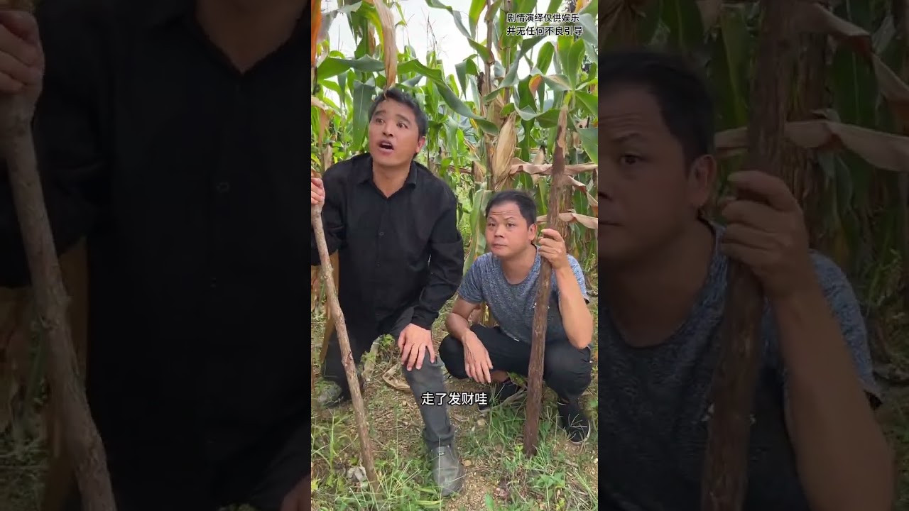 My Country Life: Watch the Unexpected Ending of the Country Video to Combat Illegal Criminals