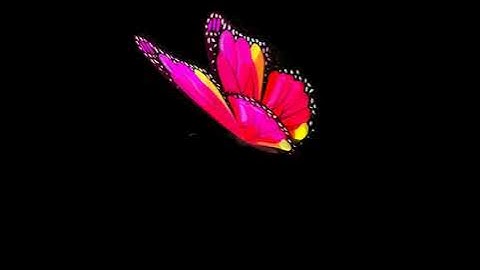 Butterfly Holographic Projector Animation
