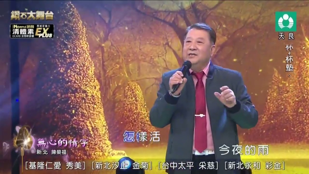 陳榮福-無心的情字