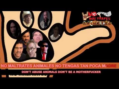 Canción No Maltrates Animales