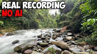Relaxing Sleep Sounds | Deep Calm for Stress Relief & Better Sleep