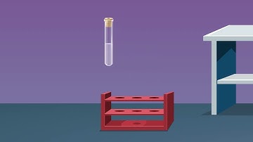 Esterification Reaction between Alcohol and Carboxylic Acid