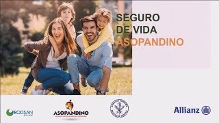 Asopandino - Rodsan Seguros - Allianz 2019-2020