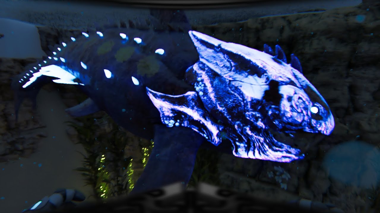 Taming Sea Creatures ASA Knockout Tame