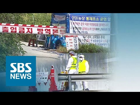 보령 · 포천 의심 신고 &amp;#39;음성 판정&amp;#39;…한숨 돌린 방역 당국 / SBS