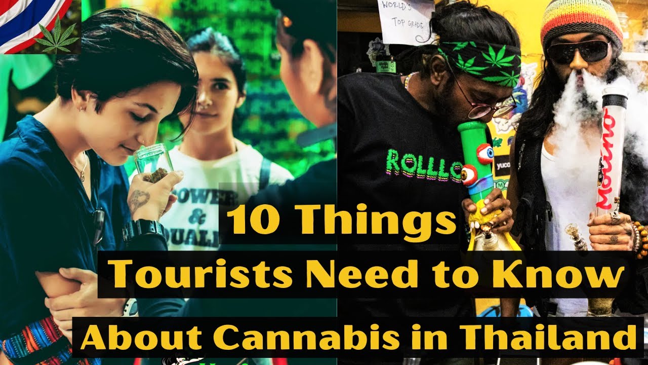 Consuming cannabis in Thailand: what tourists need to know about marijuana  rules, Cannabis