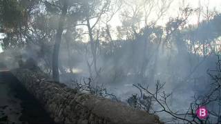 Extingit Lincendi De Pins Del Caló De La Torre, A Portopetro