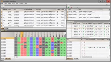 Whole genome SNP: Cluster analysis (BioNumerics 7.6)