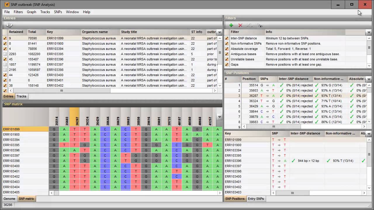 Whole genome SNP: Cluster analysis (BioNumerics 7.6)
