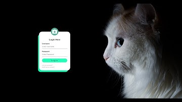 Login con HTML5 y CSS3  - Responsive(Paso a paso + código)