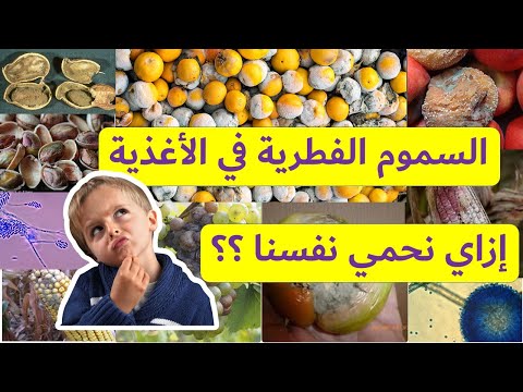 ما هي السموم الفطرية وأنواعها وكيفية حماية أنفسنا منها