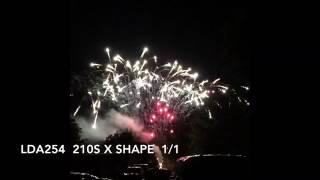 LDA254 210s X Shape 1/1