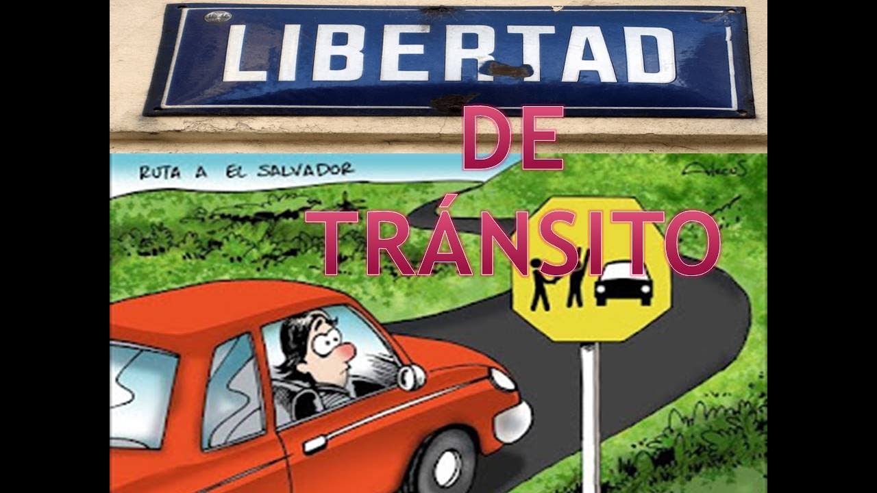 LIBERTAD DE TRÁNSITO - YouTube