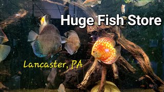 Huge Fish Store in Lancaster, PA | That Fish Place