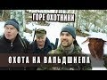 Охота на вальдшнепа 2017. Тяга вальдшнепа.