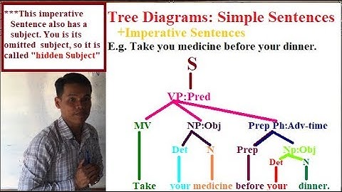 Learning English Grammars:Tree Diagrams - Simple Sentences 8