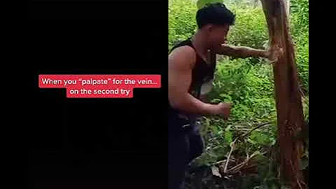 meme - funny (4).mp4