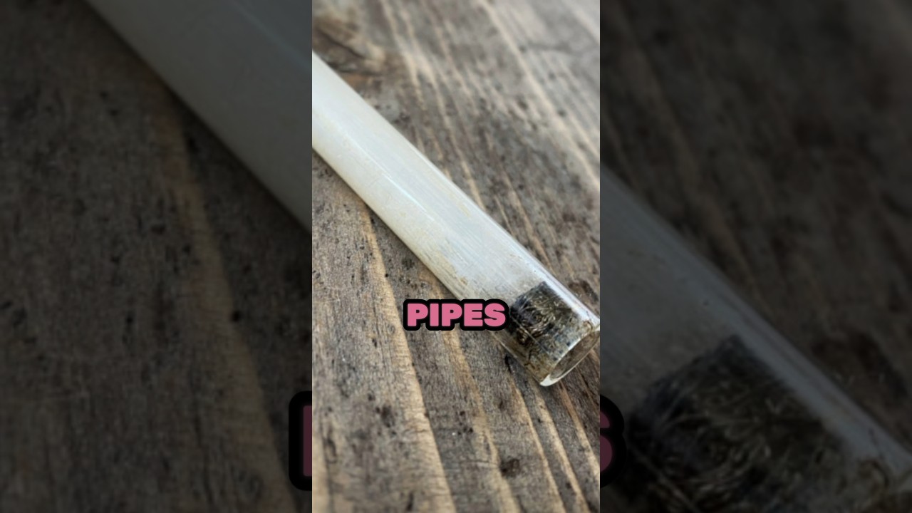 Мама сказала, что курить нужно, чтобы собирать пепел для CRACK 🚬 