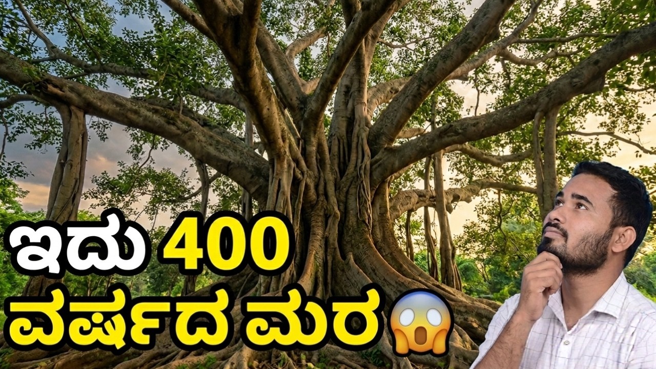 ವಿಶ್ವದ ಅತಿ ದೊಡ್ಡ ಆಲದ ಮರ ನೋಡಿದ್ದೀರಾ? 😲 | ಬೆಂಗಳೂರು ಬಿಗ್ ಬನ್ಯಾನ್ ಟ್ರೀ ಪ್ರವಾಸ | Spyamir