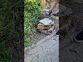 Who needs therapy when you have gardening?