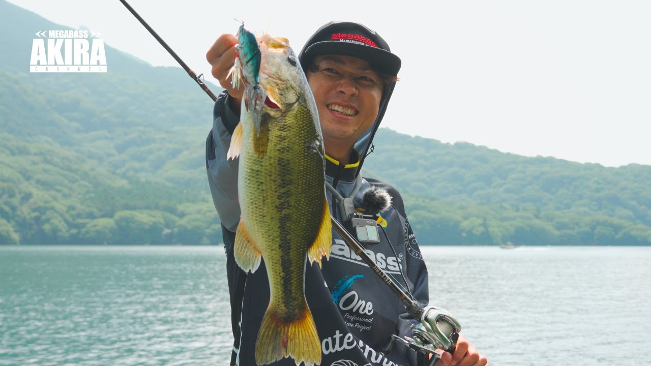 ULTIMATE FINESS ～キリサメの使い分け～ | Megabass-メガバス
