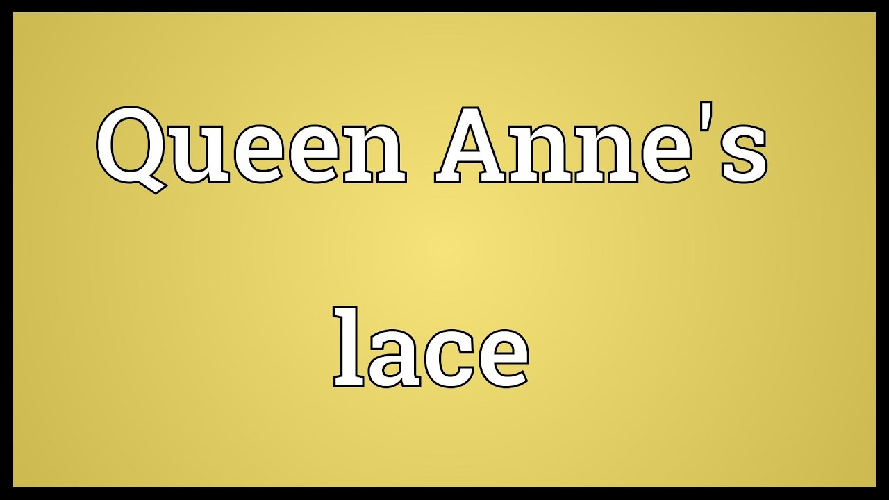 Queen Anne's lace Meaning YouTube