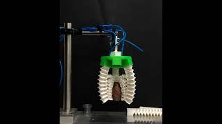 3D Printed Soft Modular Gripper Different Configurations