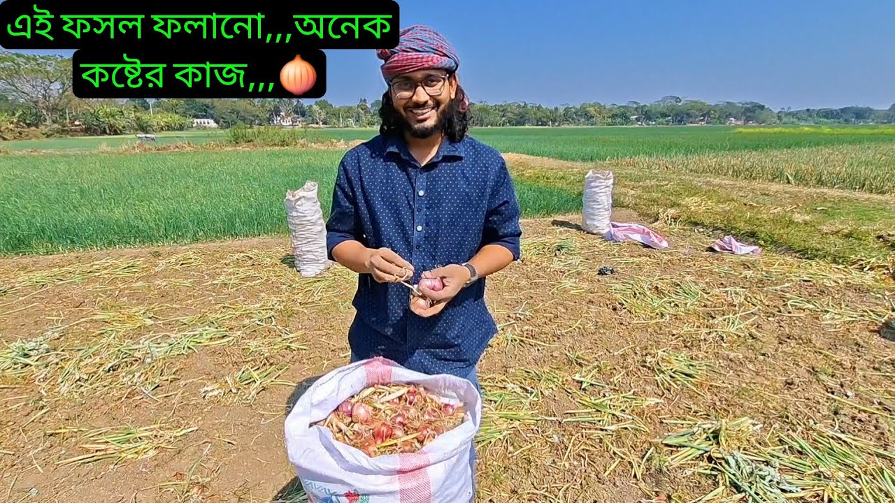 এই ফসল ফলানো,,,অনেক কষ্টের কাজ,,,🧅