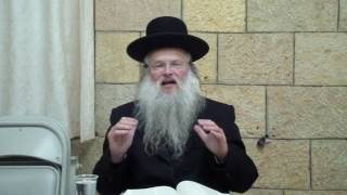 כל ההתחלות מפורים - הרב שמעון טייכנר