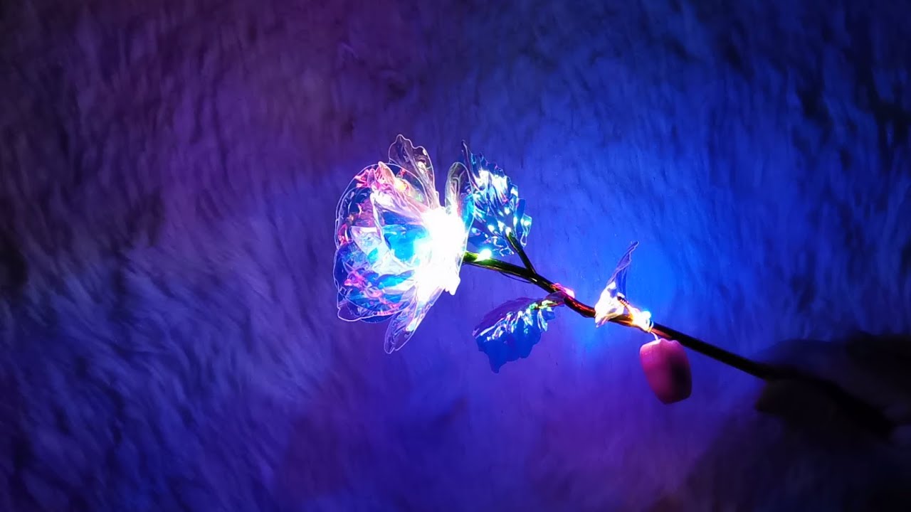 Galaxy Rose Flower Unboxing and Review 2022 Colorful 24K Golden Foil