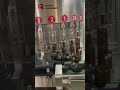 Glass Bottle Screw Cap Wine Filling Machine | Automatic Bottling Line