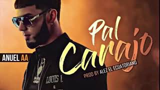 Anuel AA - Pal Carajo (Audio Official)