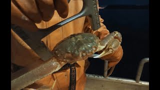 Tanner Crabbing in Kodiak Alaska!  Part 4 Tanner Crab 2023