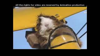 The Wonderful World of Hammy Hamster Music Video