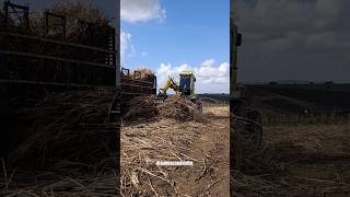 CARREGAMENTO NO SÍTIO SÃO LUIS COM A EQUIPE JC TRANSPORTE.