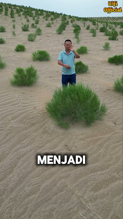 Inilah Upaya Mengejutkan yang Mengubah Wajah Gurun Pasir China #shorts